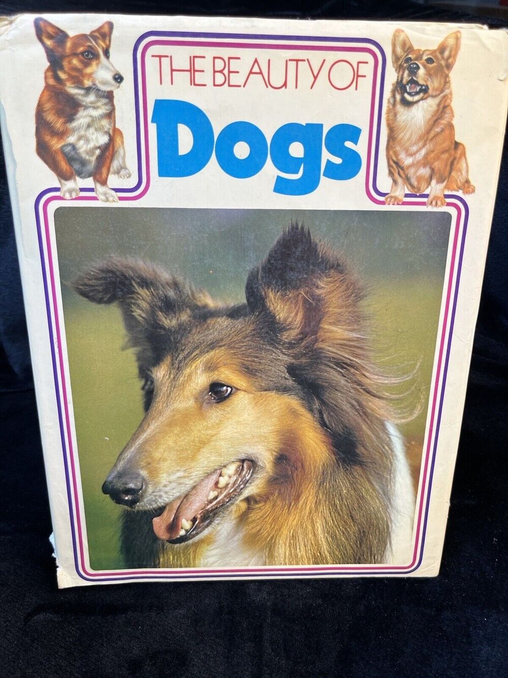 Vintage The Beauty of Dogs by Kenneth Bailey London England w Dust Jacket 1972